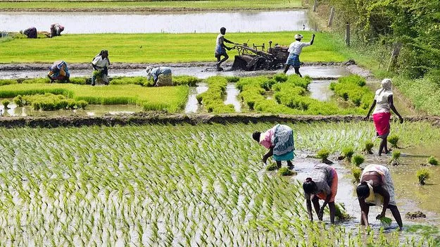 ఉద్యోగుల సమ్మెతో పీఏసీఎస్‌ల్లో ప్రత్యామ్నాయ ఏర్పాట్లు 