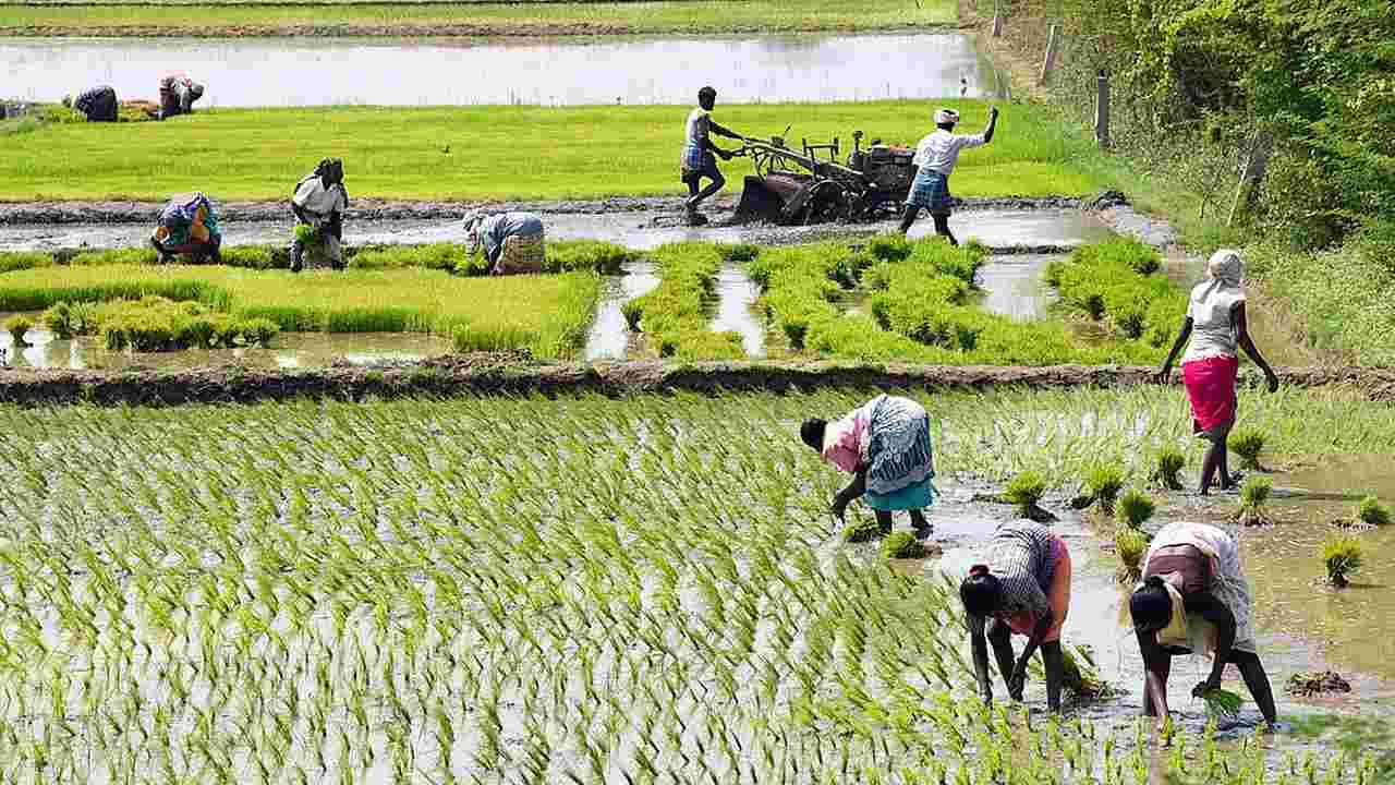ఉద్యోగుల సమ్మెతో పీఏసీఎస్‌ల్లో ప్రత్యామ్నాయ ఏర్పాట్లు 