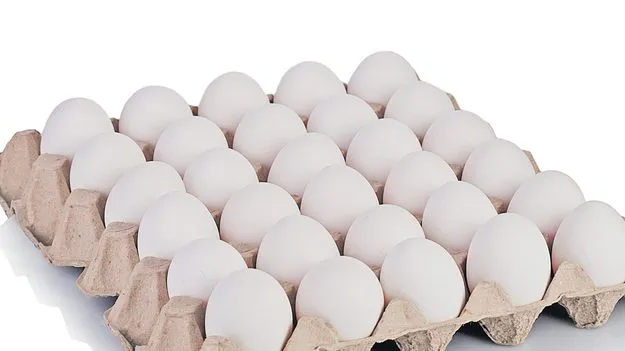 గుడ్డు ధర ఢమాల్‌