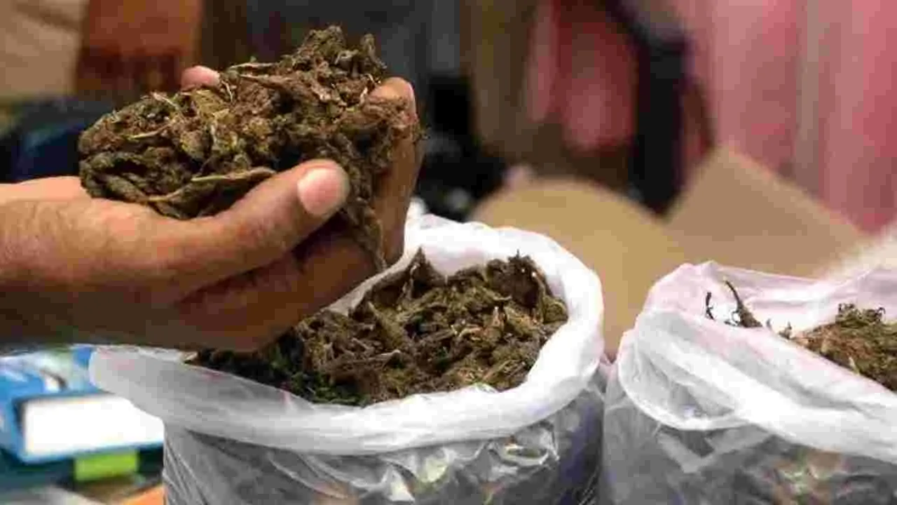 గంజాయి కేసులో భీమిలి ఎంపీటీసీ అరెస్టు