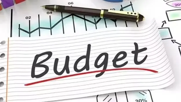 బడ్జెట్‌ మొత్తం అబద్ధాలు, అభూతకల్పనలే