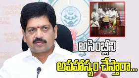 దేవాలయం లాంటి అసెంబ్లీని అపహాస్యం చేస్తారా.. వైసీపీపై మంత్రి ఫైర్..
