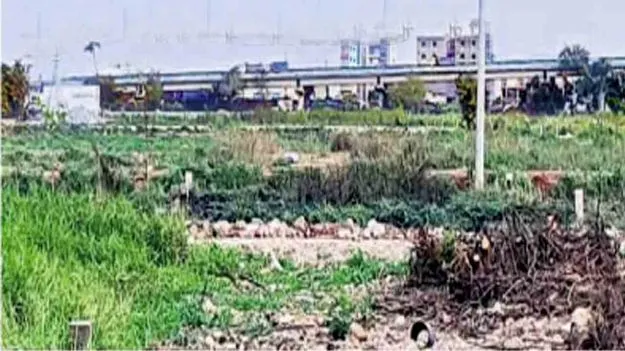 మిగులు ప్లాట్లను మింగేస్తారా?