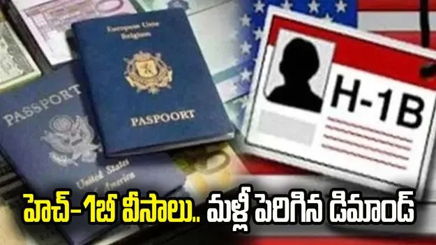 ఖర్చుకు వెనకాడని యూఎస్ కంపెనీలు! హెచ్-1బీ వీసాలకు భారీ డిమాండ్