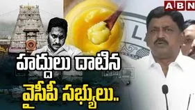 హిందూ సమాజానికి వైసీపీ సభ్యులు క్షమాపణలు చెప్పాలి: మంత్రి పయ్యావుల