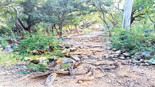 ఆలయానికి రహదారి ఏర్పాటు చేయండి 