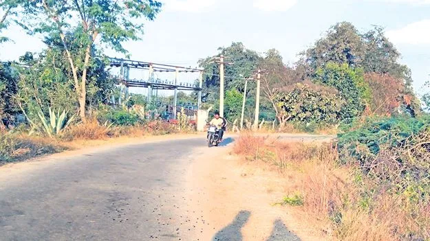 కంపచెట్లను తొలగించండి 