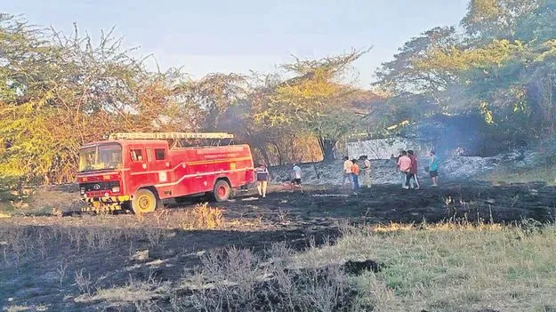 సపోట, కొబ్బరి చెట్లకు నిప్పు 