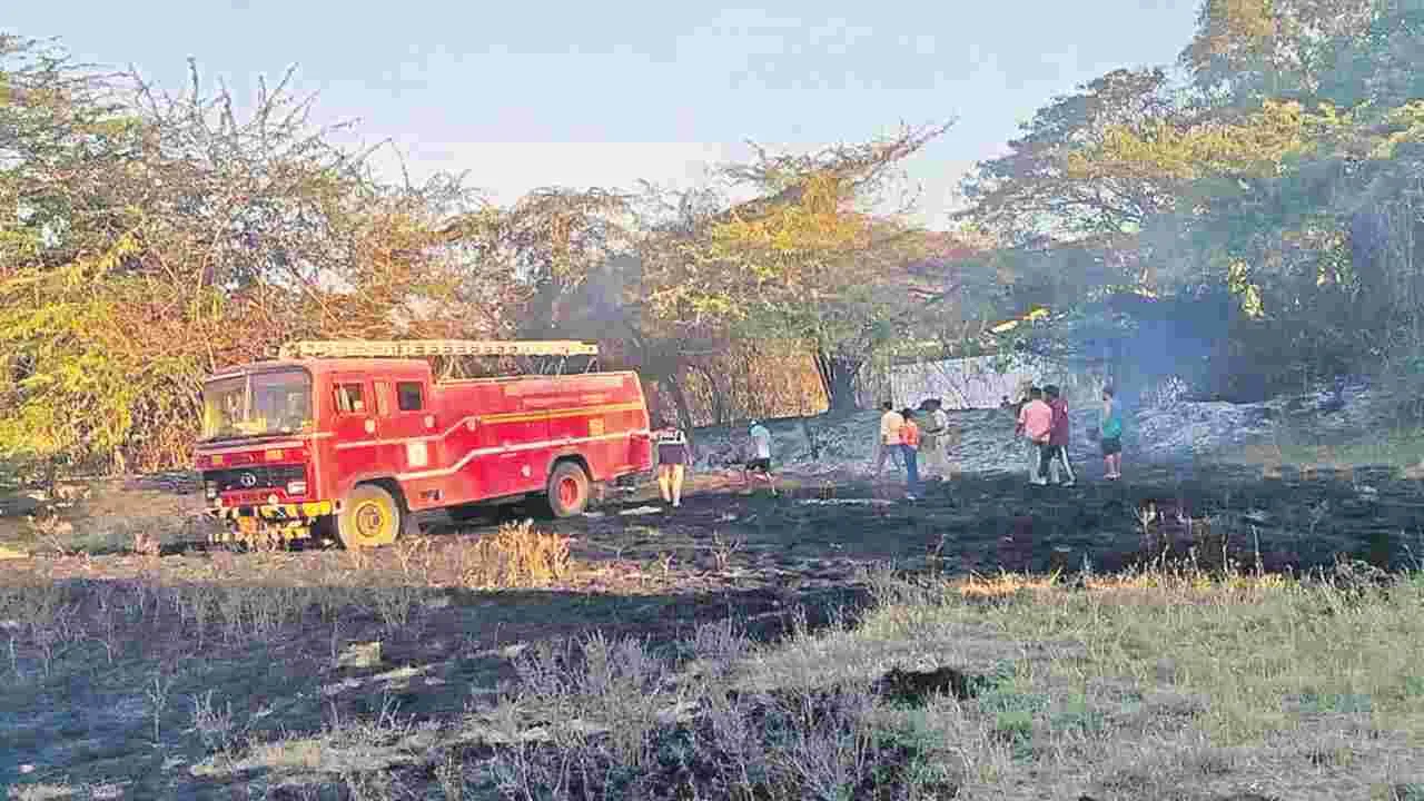 సపోట, కొబ్బరి చెట్లకు నిప్పు