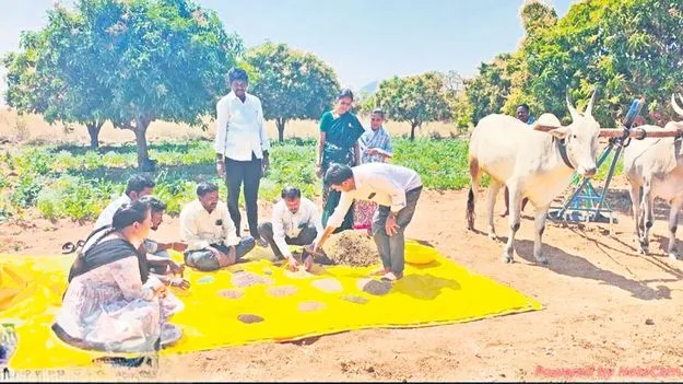 పొడి విత్తనాల సాగుతో ఆదాయం