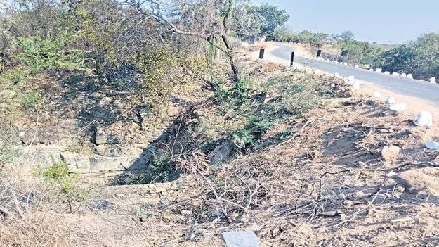 ఆదమరిస్తే అంతే సంగతి..! 