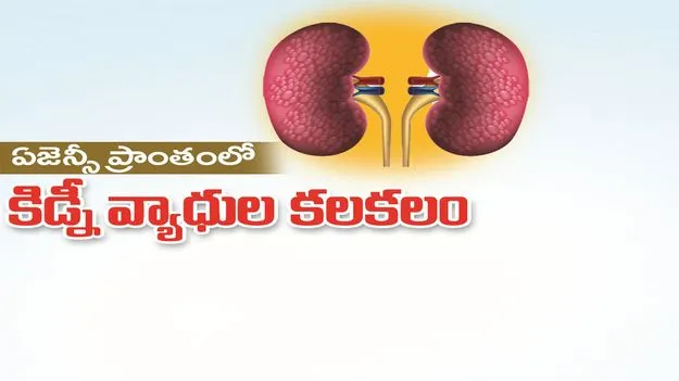 kumaram bheem asifabad- ఏజెన్సీ ప్రాంతంలో కిడ్నీ వ్యాధుల కలకలం