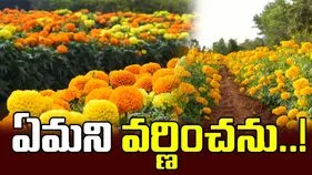 ఏమని వర్ణించను..!