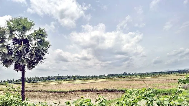 ఆక్రమణల చెరలో..