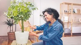 ఇంటి కాలుష్యం... ఇంతింత కాదయా!