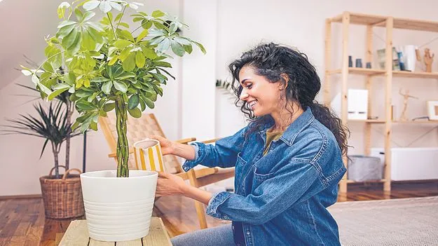 ఇంటి కాలుష్యం... ఇంతింత కాదయా!