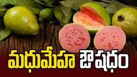 మధుమేహ ఔషధం 