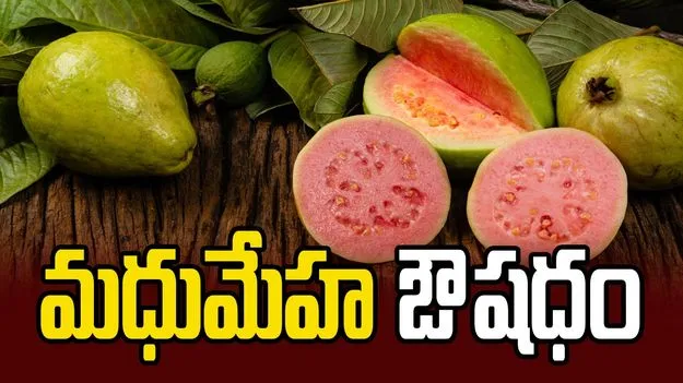 మధుమేహ ఔషధం 
