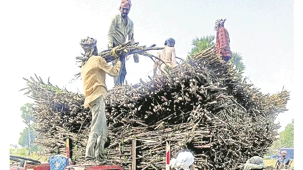 అక్కడ తీపి... ఇక్కడ చేదు