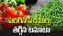 పెరిగిన పచ్చిమిర్చి.. తగ్గిన టమాటా