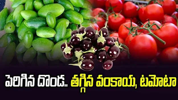 పెరిగిన దొండ.. తగ్గిన వంకాయ, టమోటా