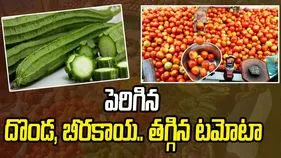 పెరిగిన దొండ, బీరకాయ.. తగ్గిన టమోటా