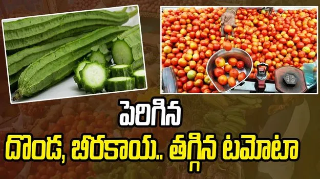 పెరిగిన దొండ, బీరకాయ.. తగ్గిన టమోటా