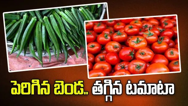 పెరిగిన బెండ.. తగ్గిన టమాటా