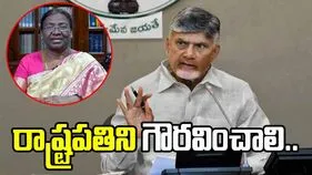 ఏ ప్రభుత్వమైనా రాష్ట్రపతి పట్ల గౌరవ, మర్యాదలతో మెలగాలి: సీఎం చంద్రబాబు