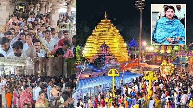 ఉచిత దర్శన మార్గంలో శ్రీవారిని దర్శించుకున్న ఆ జిల్లా కలెక్టర్..