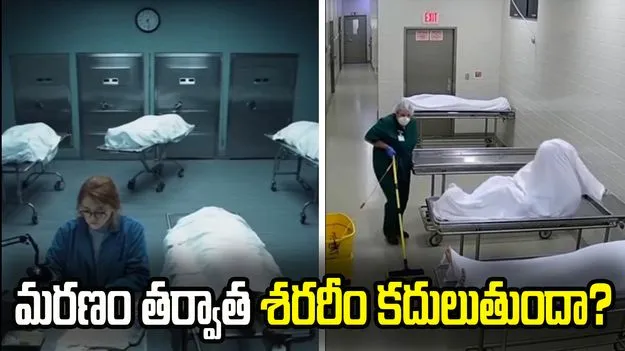 మరణం తర్వాత శరీరం కదులుతుందా? దీని వెనుకున్న శాస్త్రీయ కారణాలు ఏంటో తెలుసా? 