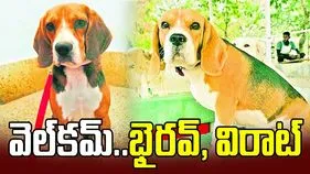 వెల్‌కమ్‌..భైరవ్‌, విరాట్‌