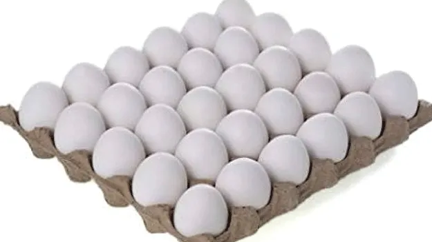 ఎగ్‌మతులేక!