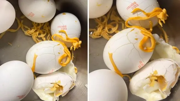 గుడ్డు లోపలి నుంచి ప్లాస్టిక్.. విక్రయించిన కంపెనీ ఏం చెప్పిందంటే..