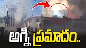 రాజస్థాన్‌లో కెమికల్ ఫ్యాక్టరీలో అగ్నిప్రమాదం.. ఏడుగురి సజీవ దహనం..