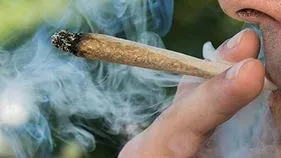 గంజాయి సిగరెట్‌ కావాలా.. నాయనా..!