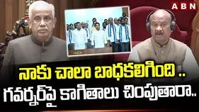 సభలో వైసీపీ సభ్యుల తీరుపై స్పీకర్ ఆవేదన