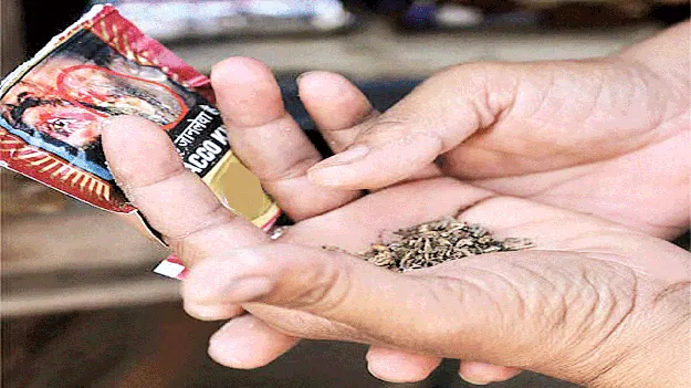 గుట్టుగా గుట్కా