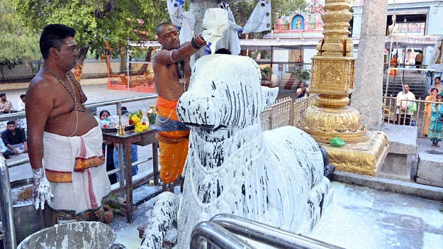 వైభవంగా ప్రదోష కాల పూజలు