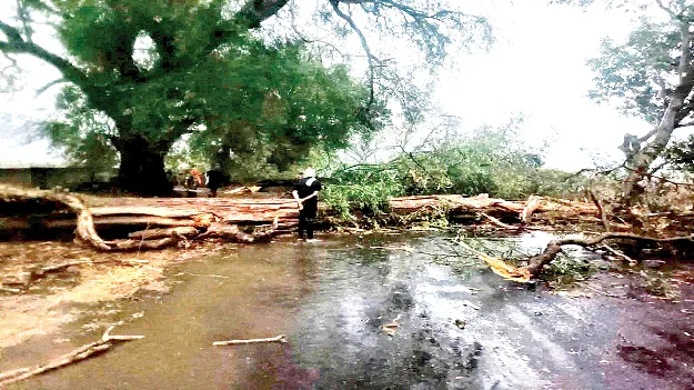 Rain   ఈదురుగాలులతో వాన