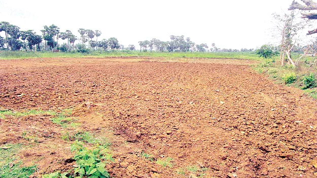 పరీక్షిస్తున్నా.. ఫలితాలేవి?