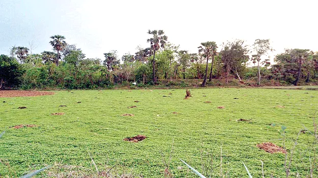  Lifting the ban on freehold lands? ఫ్రీహోల్డ్‌ భూములపై  నిషేధం ఎత్తివేత?