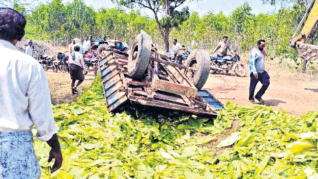 పచ్చాకు ట్రాక్టర్‌ బోల్తా..  ఇద్దరు మహిళా కూలీల మృతి