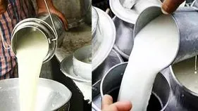 రాజమహేంద్రవరం ఘటన.. పాల కేంద్రాల్లో విస్తృత తనిఖీలు