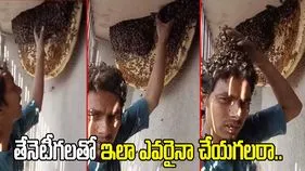 అవి తేనెటీగలురా అయ్యా.. ఇతడి నిర్వాకం చూస్తే షాకవ్వాల్సిందే.. 