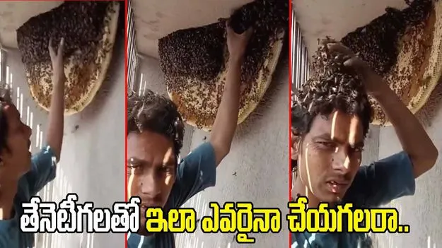 అవి తేనెటీగలురా అయ్యా.. ఇతడి నిర్వాకం చూస్తే షాకవ్వాల్సిందే.. 