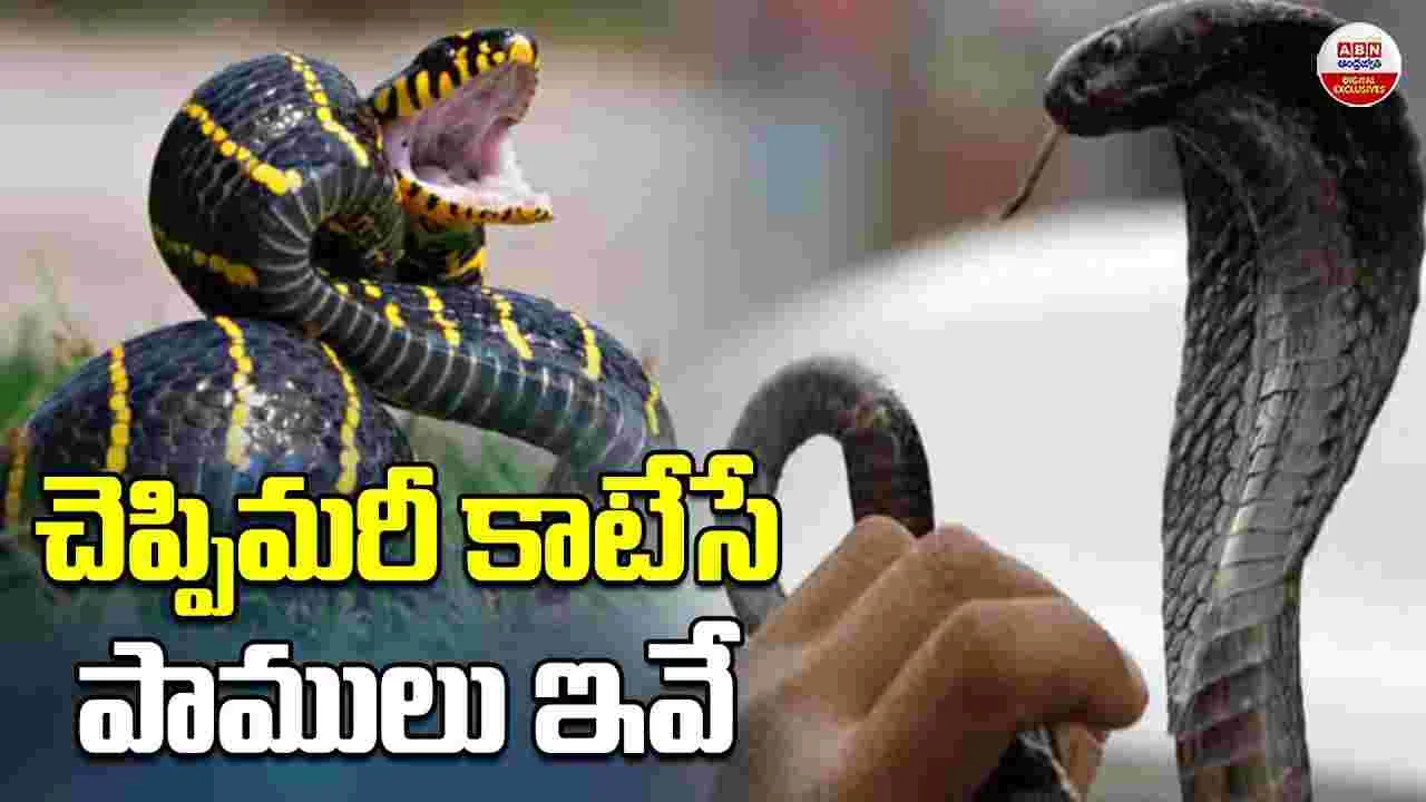 పాములు కాటేసే ముందు హెచ్చరిస్తాయట!
