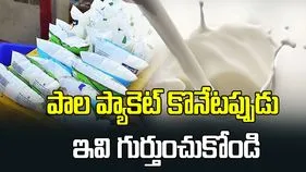 పాల ప్యాకెట్ కొనేటప్పుడు ఈ విషయాలను గుర్తుంచుకోండి..