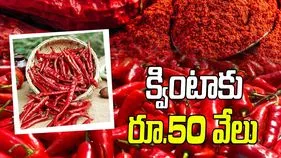 మెరిసిన చపాట మిర్చి 