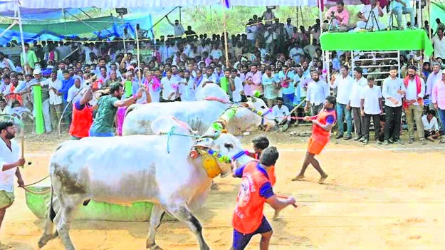 మేళ్లచెర్వు జాతరా.. మజాకా! 